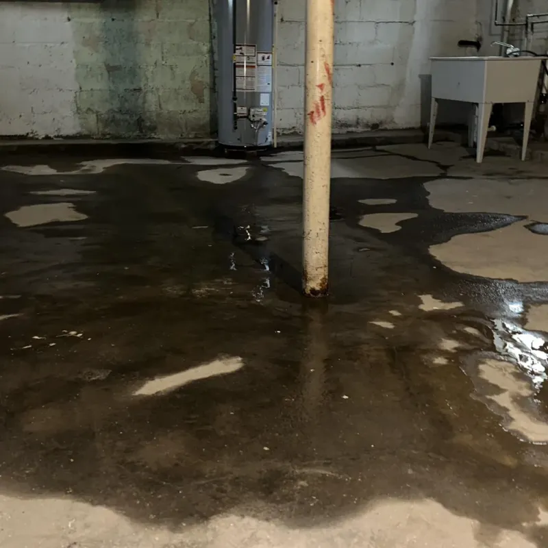 Emergency Water Extraction And Removal in Ashwaubenon, WI
